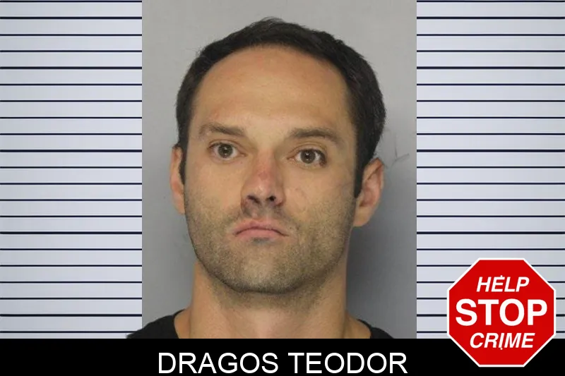 Dragos Teodor mugshot – Hall County , Georgia Dragos Teodor mugshot