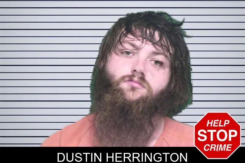 Dustin Herrington mugshot