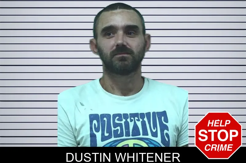 Dustin Whitener mugshot