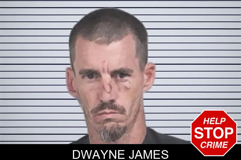 Dwayne James mugshot