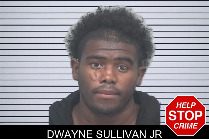 Dwayne Sullivan Jr mugshot