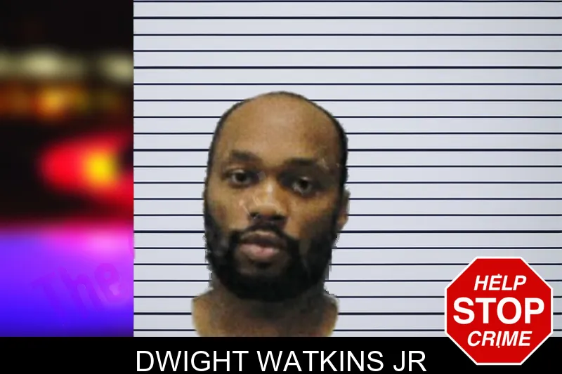 Dwight Watkins Jr mugshot