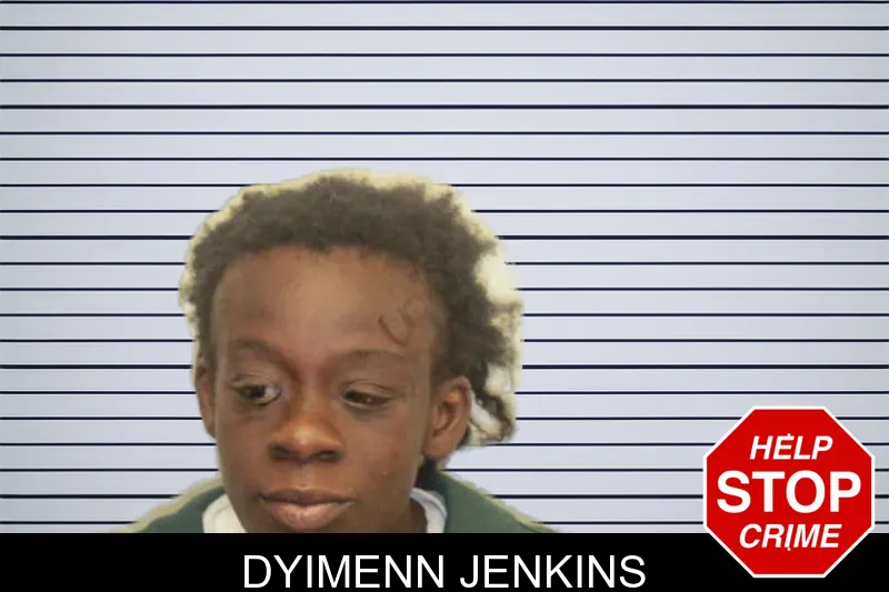 Dyimenn Jenkins mugshot