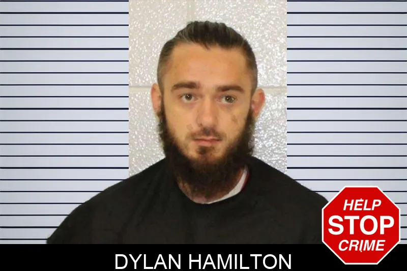 Dylan Hamilton mugshot
