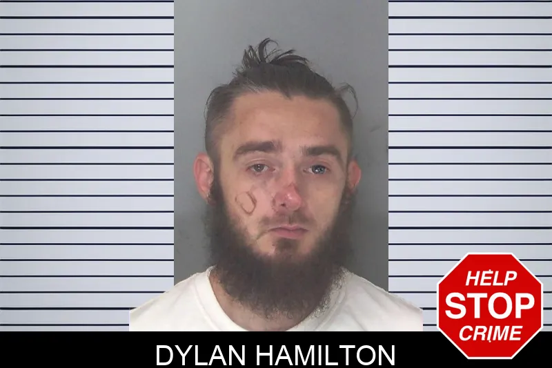 Dylan Hamilton mugshot