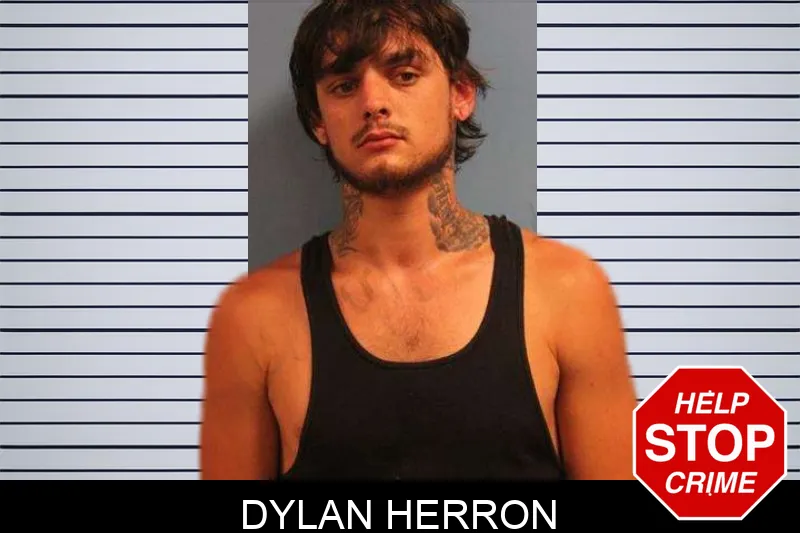 Dylan Herron mugshot