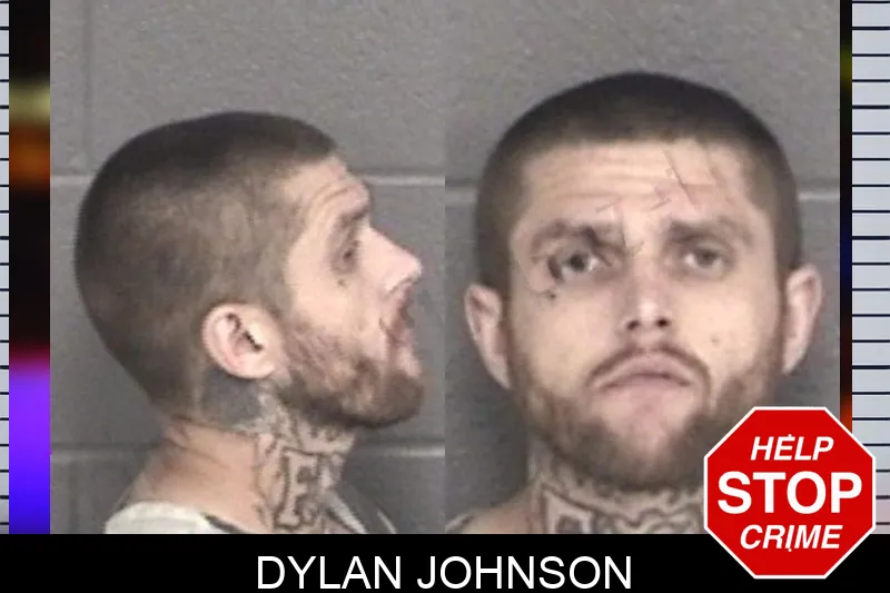Dylan Johnson mugshot