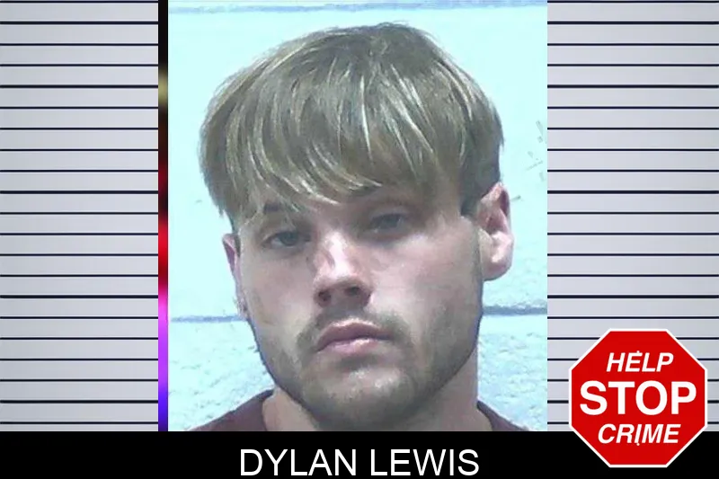 Dylan Lewis mugshot