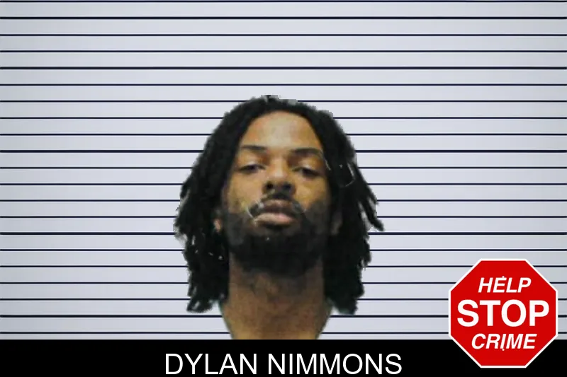 Dylan Nimmons mugshot