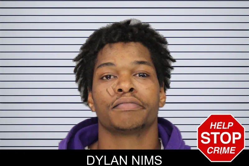 Dylan Nims mugshot – Cobb County , Georgia Dylan Nims mugshot