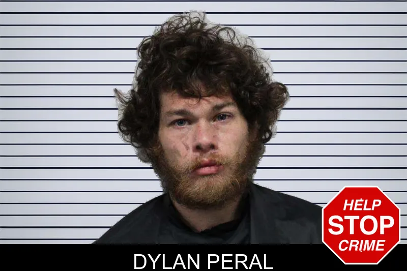 Dylan Peral mugshot
