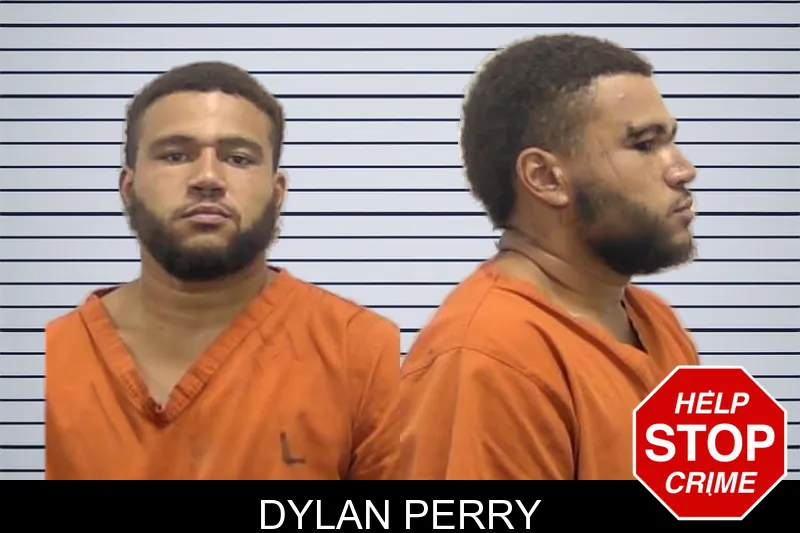 Dylan Perry mugshot