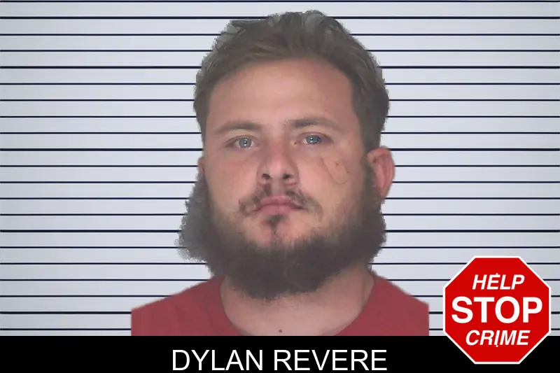 Dylan Revere mugshot