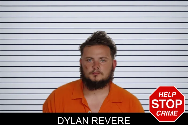 Dylan Revere mugshot