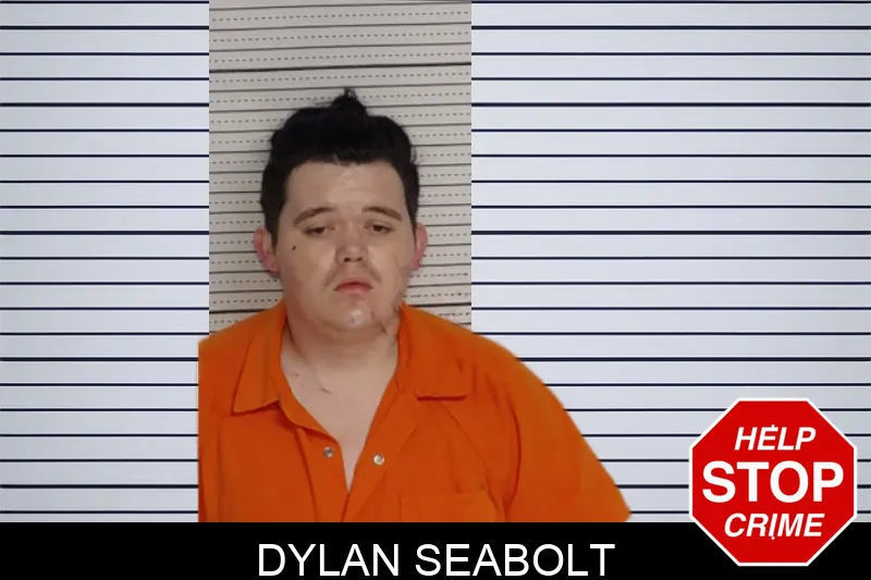 Dylan Seabolt mugshot
