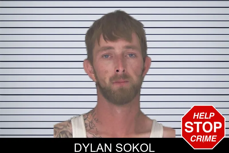 Dylan Sokol mugshot