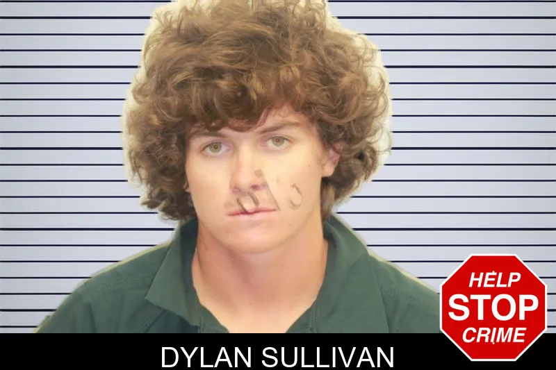 Dylan Sullivan mugshot