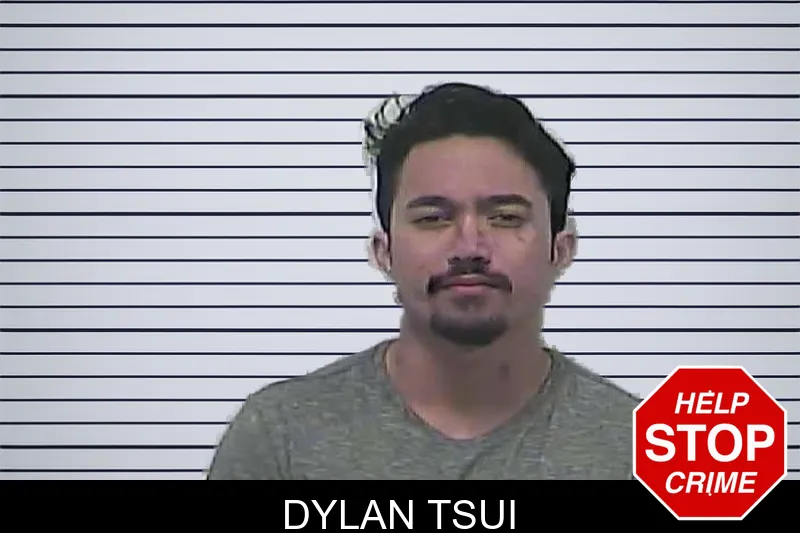 Dylan Tsui mugshot