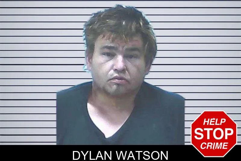 Dylan Watson mugshot