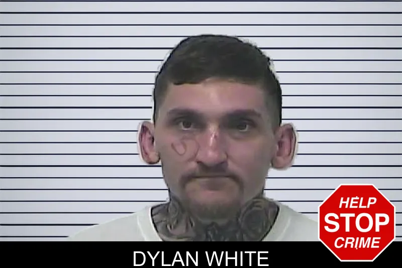 Dylan White mugshot