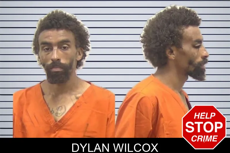 Dylan Wilcox mugshot