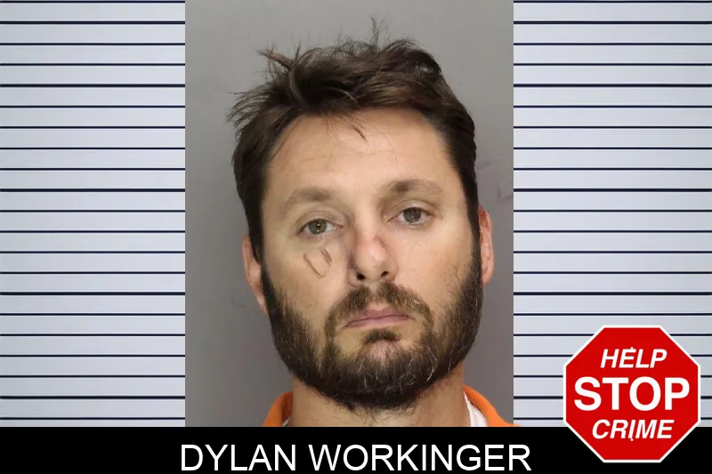 Dylan Workinger mugshot
