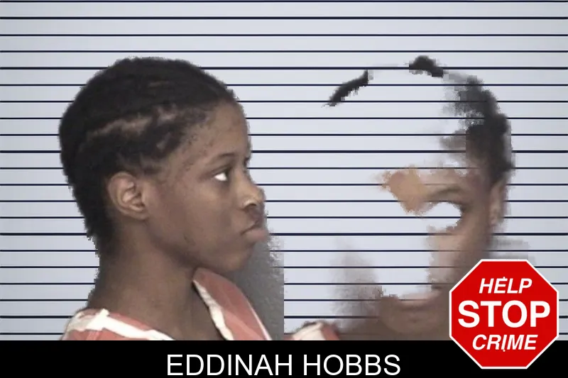 Eddinah Hobbs mugshot