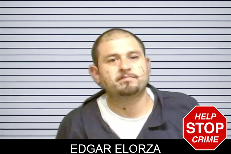 Edgar Elorza mugshot