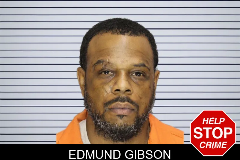Edmund Gibson mugshot
