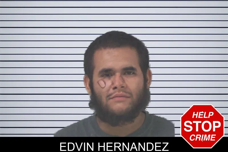 Edvin Hernandez mugshot