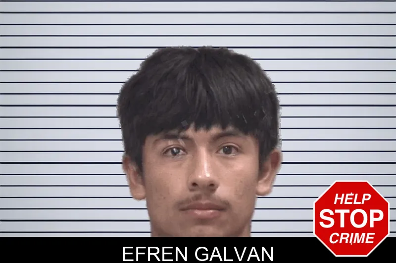 Efren Galvan mugshot
