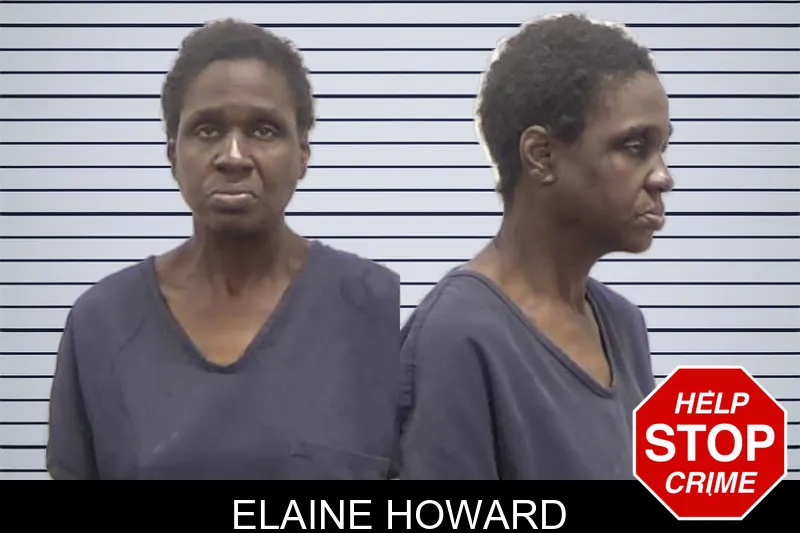 Elaine Howard mugshot