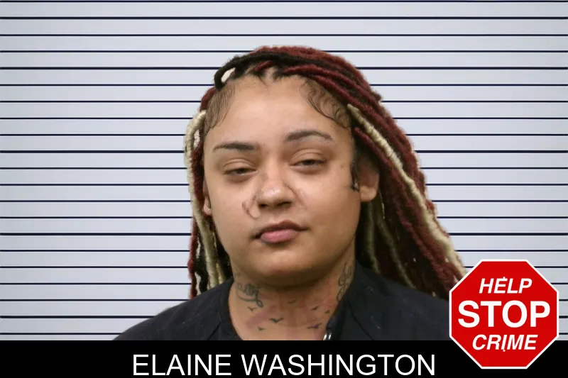 Elaine Washington mugshot