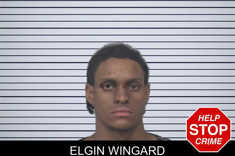 Elgin Wingard mugshot