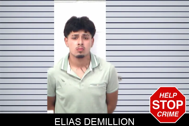 Elias Demillion mugshot