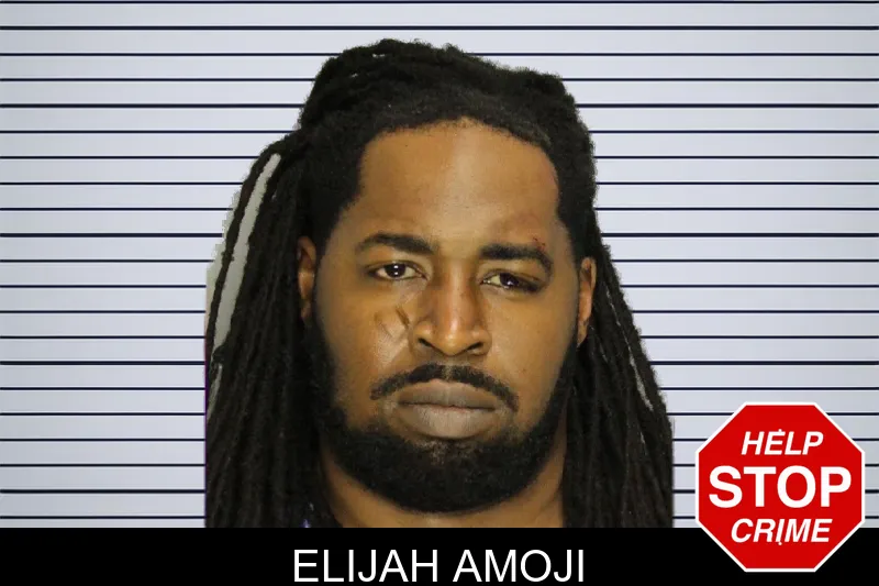 Elijah Amoji mugshot