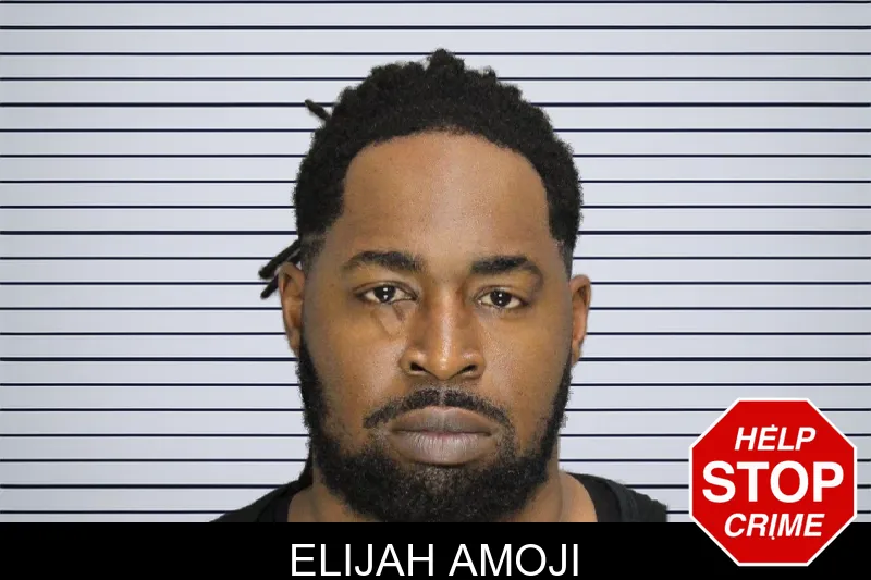 Elijah Amoji mugshot