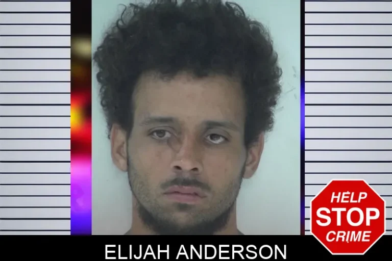 Elijah Anderson