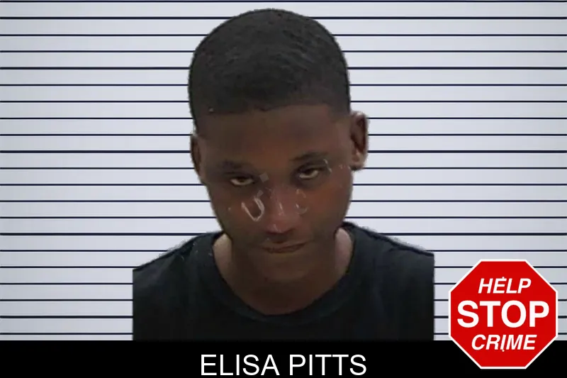 Elisa Pitts mugshot
