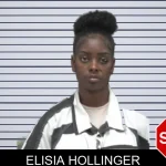 Elisia Hollinger mugshot