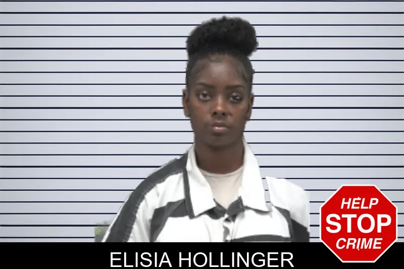 Elisia Hollinger mugshot
