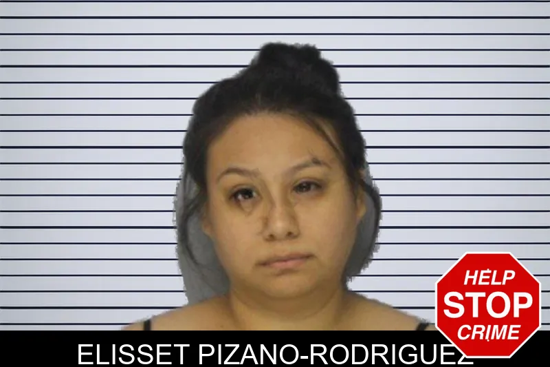Elisset Pizano-Rodriguez mugshot
