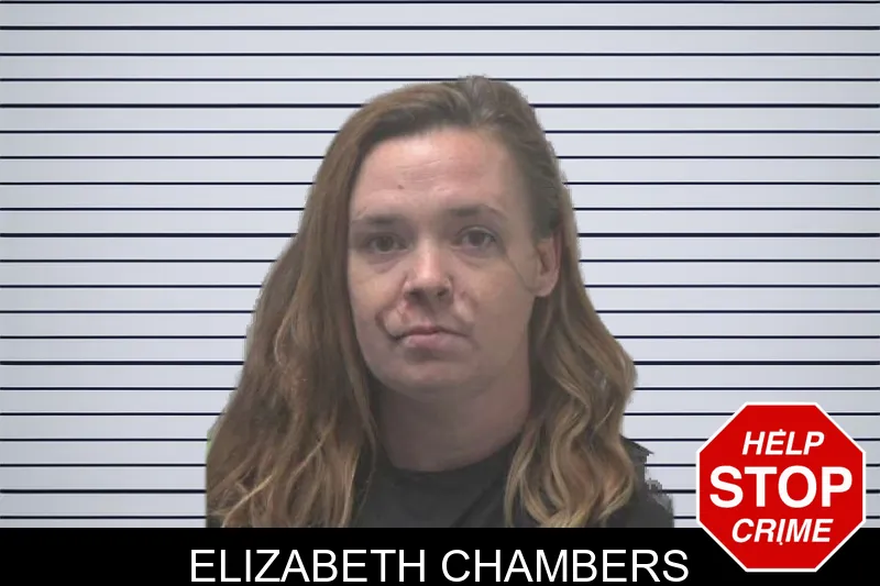 Elizabeth Chambers mugshot