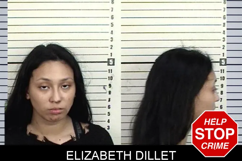 Elizabeth Dillet mugshot