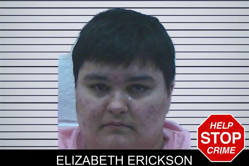 Elizabeth Erickson mugshot