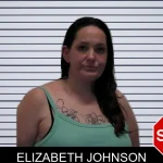 Elizabeth Johnson mugshot