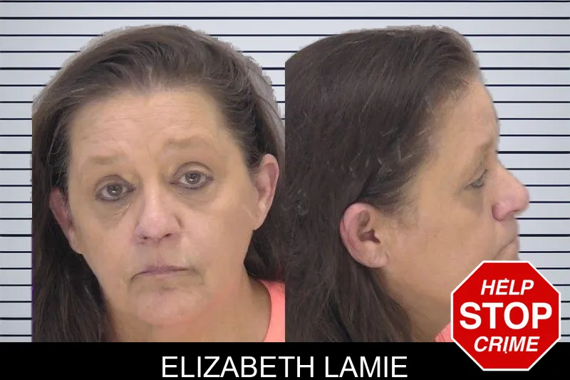 Elizabeth Lamie mugshot