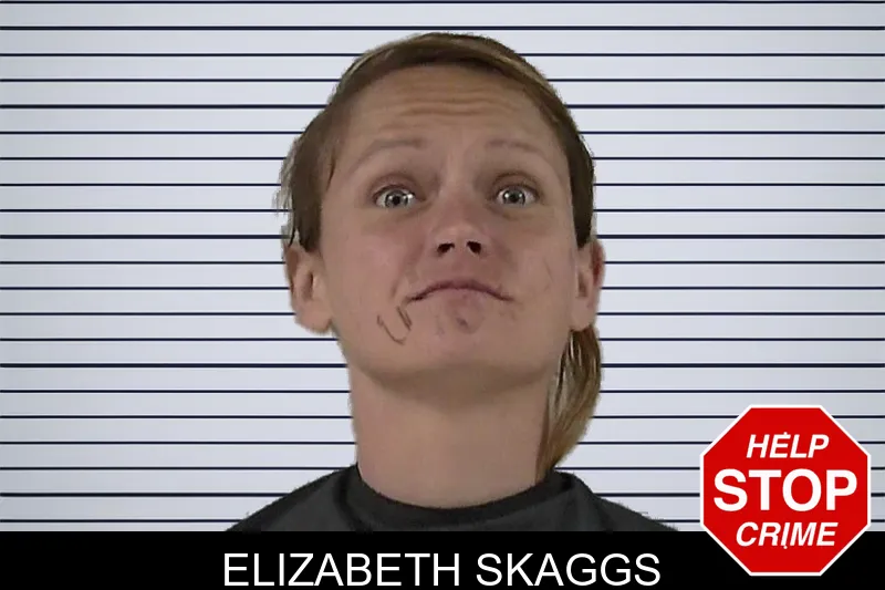 Elizabeth Skaggs mugshot