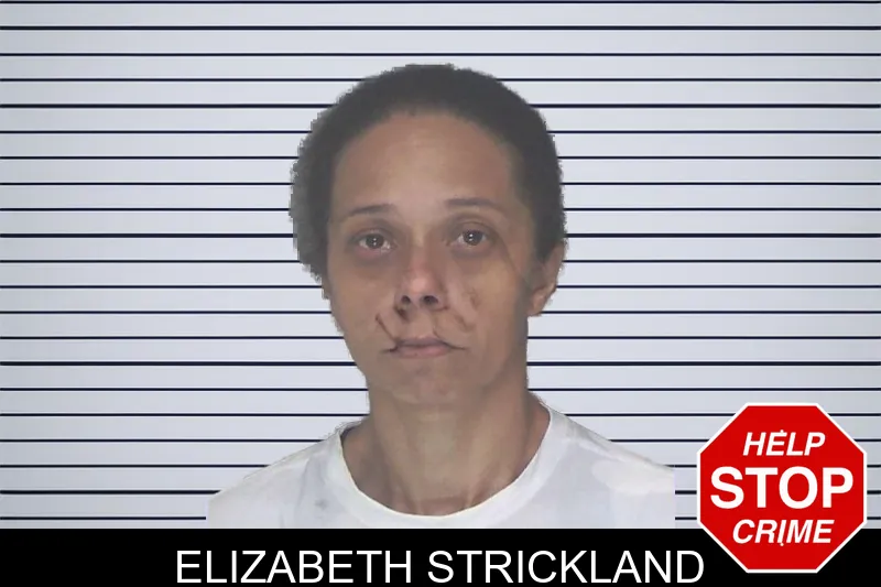 Elizabeth Strickland mugshot