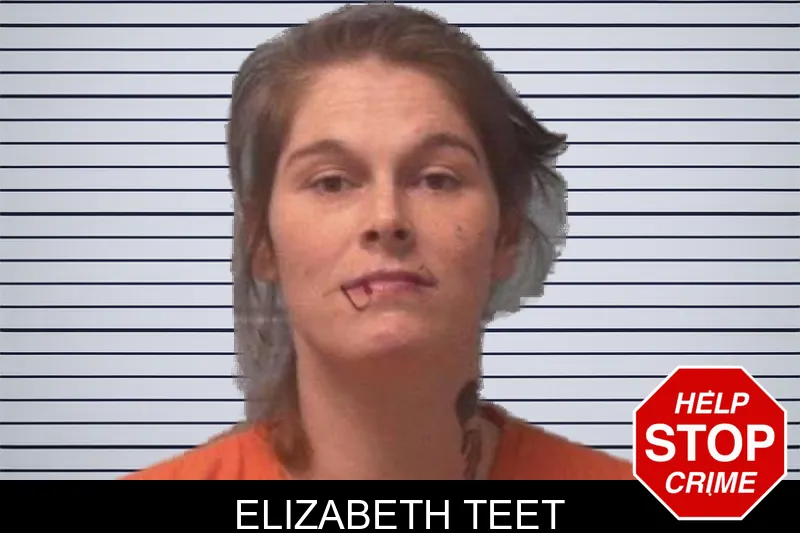 Elizabeth Teet mugshot